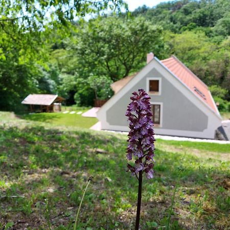 Apartmán Kosbor Vendeghaz Monoszlo Exteriér fotografie