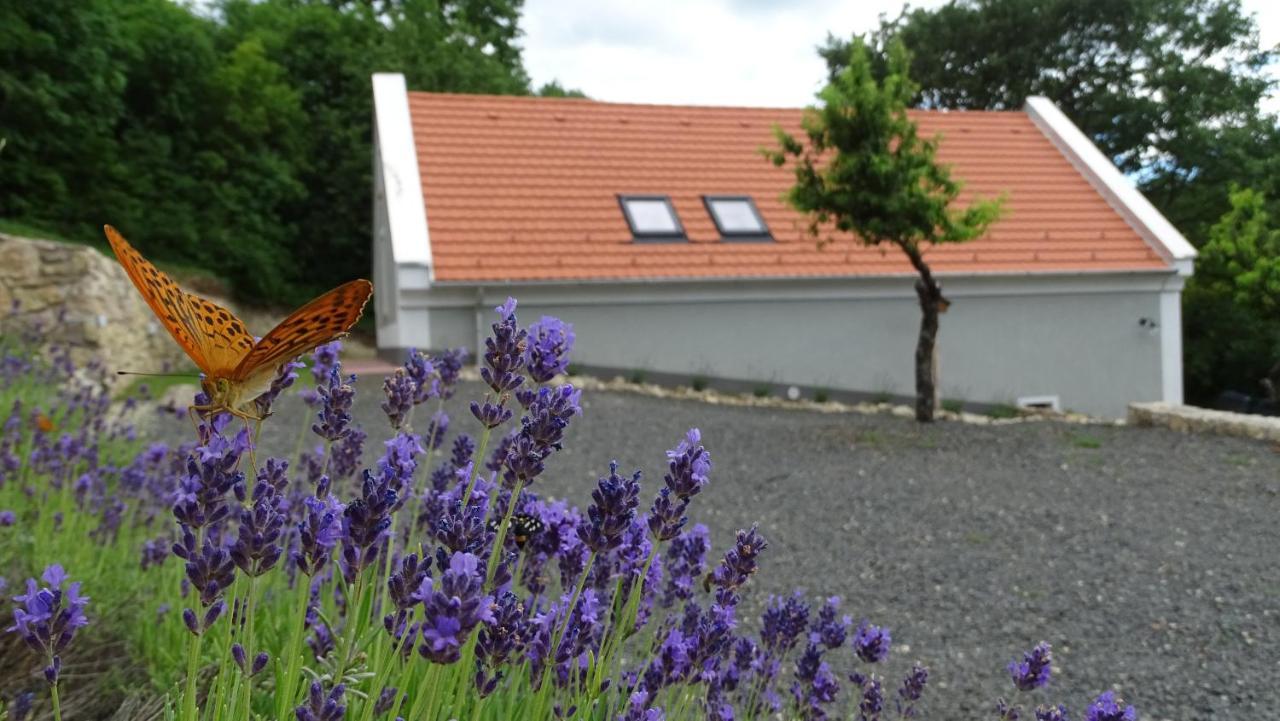 Apartmán Kosbor Vendeghaz Monoszlo Exteriér fotografie
