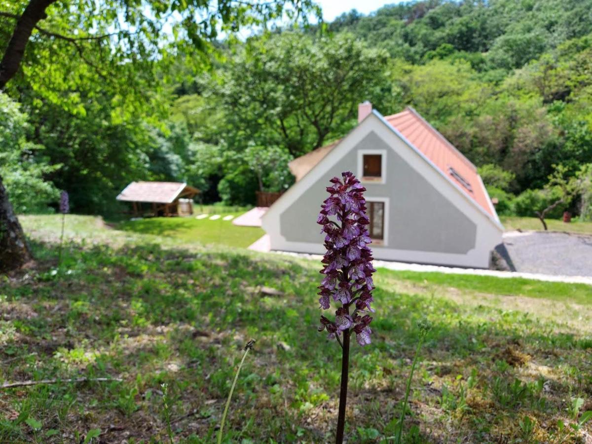 Apartmán Kosbor Vendeghaz Monoszlo Exteriér fotografie