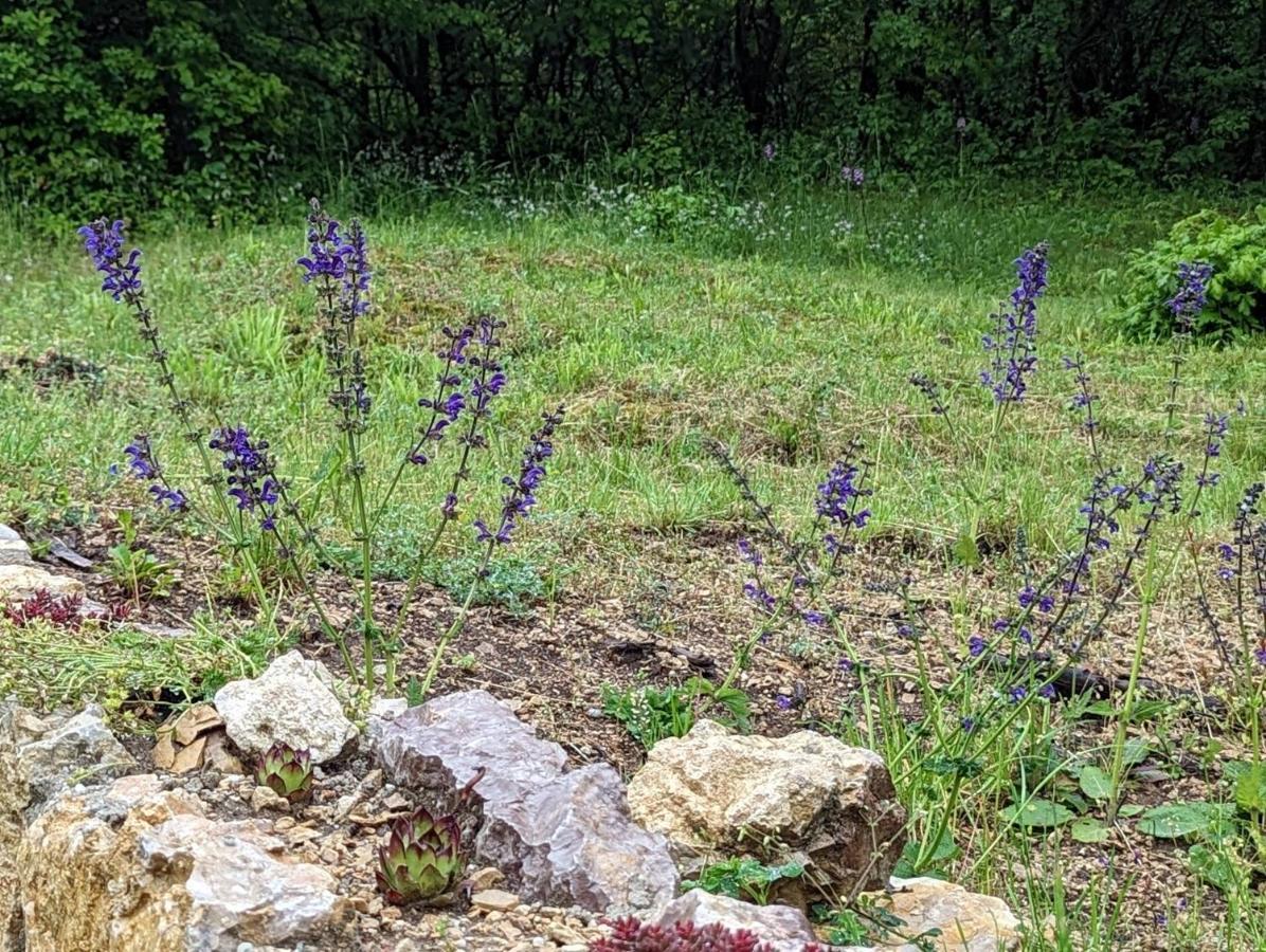 Apartmán Kosbor Vendeghaz Monoszlo Exteriér fotografie