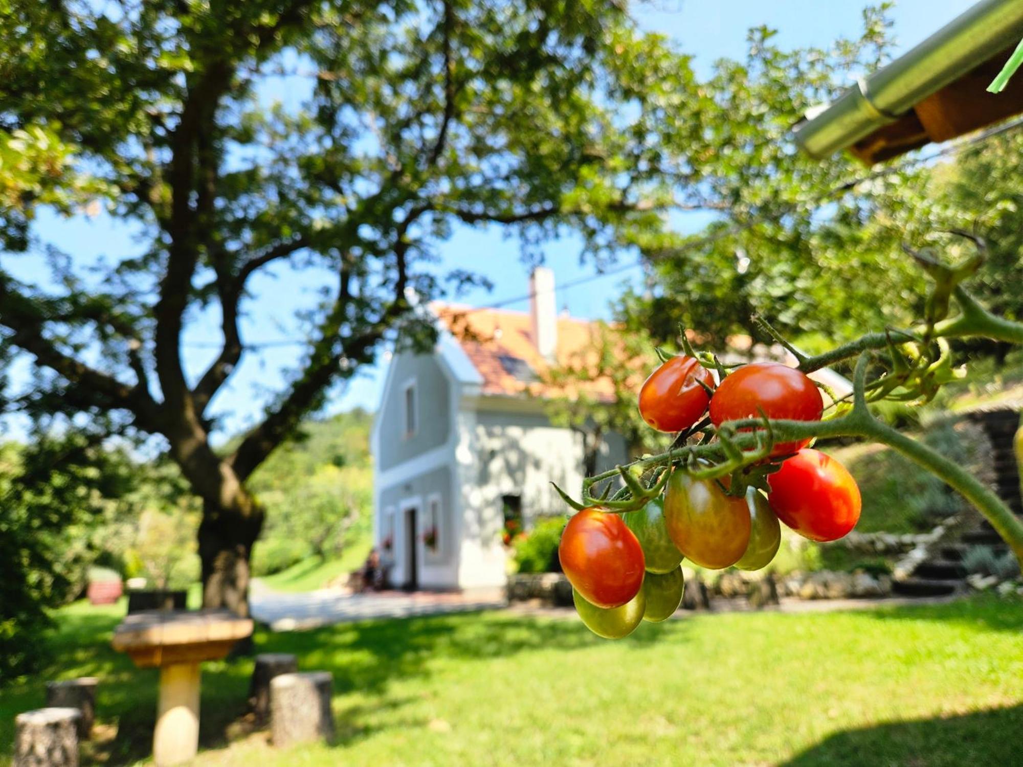Apartmán Kosbor Vendeghaz Monoszlo Exteriér fotografie