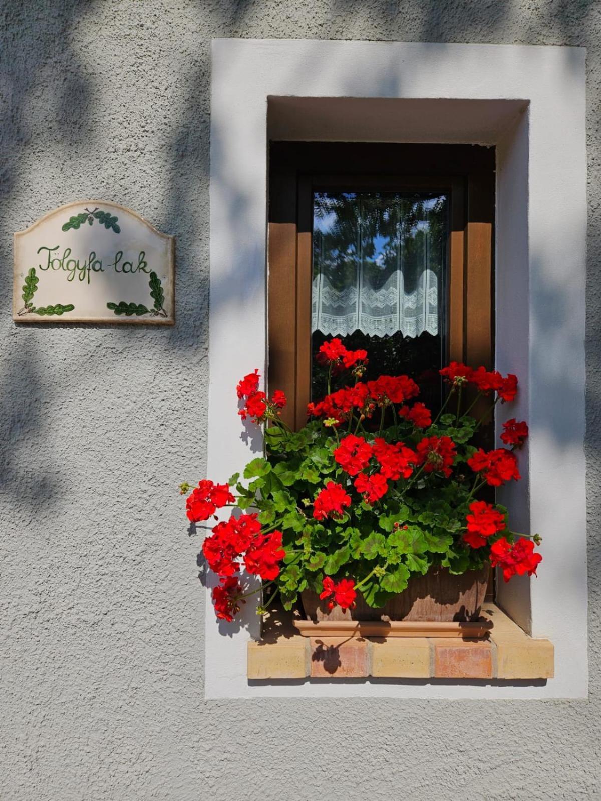 Apartmán Kosbor Vendeghaz Monoszlo Exteriér fotografie